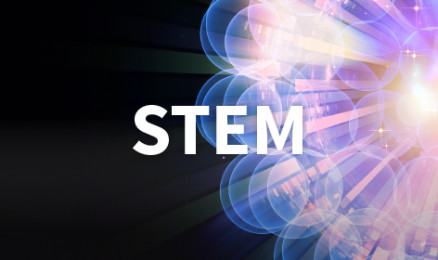 STEM Spotlight Survey & Workshops – Get Involved!