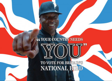 Vote for Britain’s National Bird!
