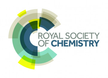 Royal Society of Chemistry Event: Look what chemistry has done for me!