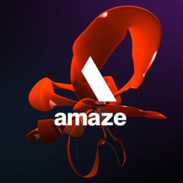 Amaze Sponsor Big Bang North West Inspiration Award in Digital Excellence