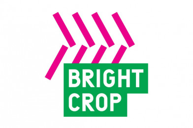 Bright Crop: Would you like a career in food or farming?