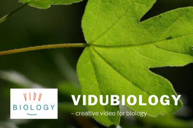 Chester Zoo: ViduBiology Workshop for KS2/3/4 Biology & Science Teachers