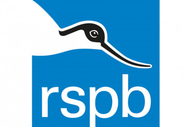 CREST Awards: RSPB Big Schools’ Birdwatch Activities