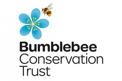 New competition challenges 11-19 year olds to help save the UK’s bumblebees