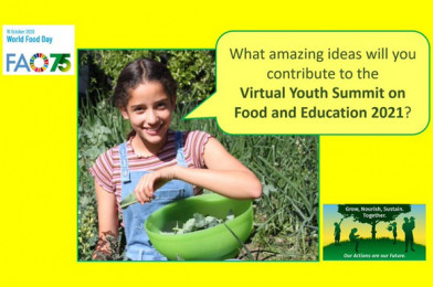 Virtual Youth Summit on Food and Education