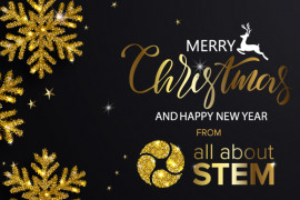Merry Christmas & Happy New Year from Team All About STEM!