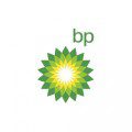 BP Free Resources