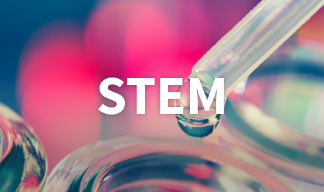 STEM Careers Resources: WES Expand Your Horizons
