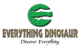 Everything Dinosaur!