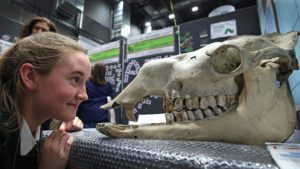 The Big Bang Fair 2016 at Exhibition Centre Liverpool. Brought to you by Mersey Stem. Featuring Gastronaut and Science 2U. Images by Gareth Jones