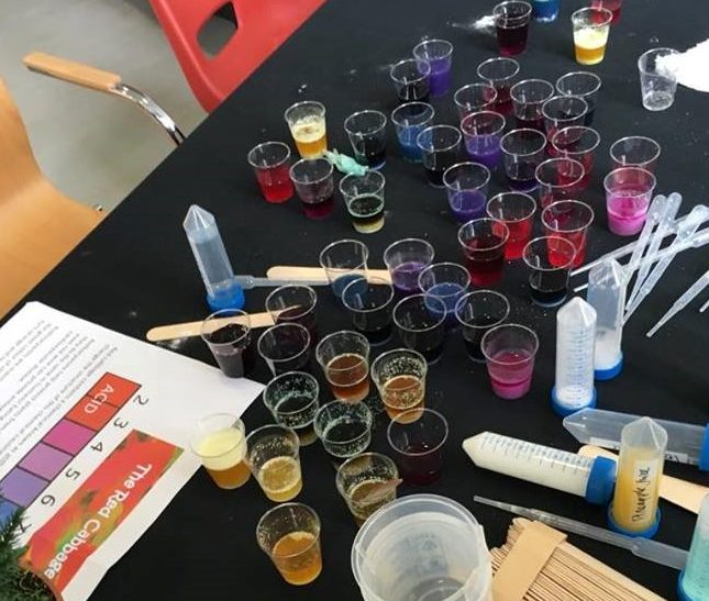 How Plants See the World – 34th Brownies Group: Illustrating the Impacts of the STEM Ambassadors programme