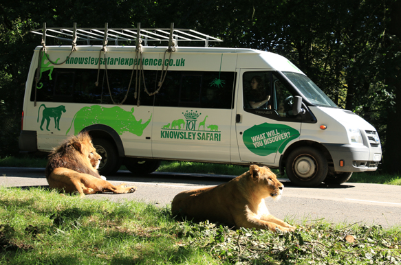 Adventure calls at Knowsley Safari!