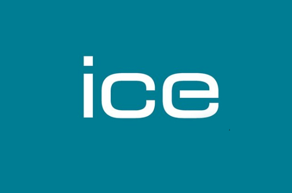 ICE: Virtual Work Experience