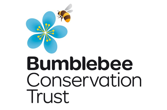 New competition challenges 11-19 year olds to help save the UK’s bumblebees