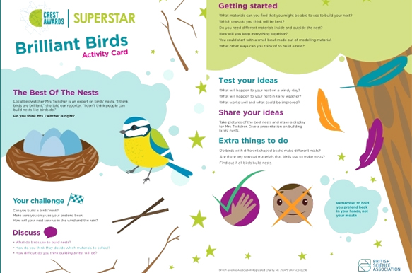 Primary CREST Awards: RSPB Big Garden Birdwatch