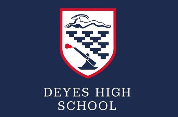 Organisations & STEM Ambassadors: Deyes High School Careers Convention