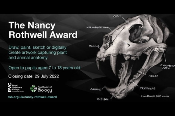 Plant or Animal Anatomy Art Competition