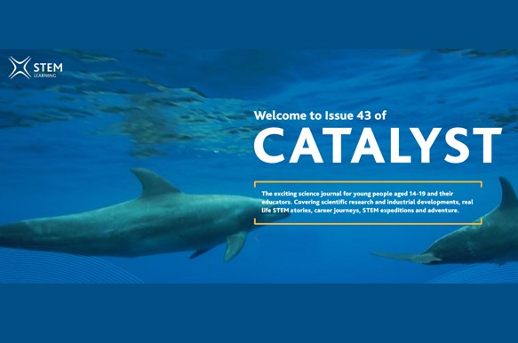 STEM Learning: New Catalyst Magazine