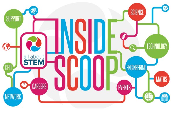 Inside Scoop (Online): Christmas STEM Enrichment & More!