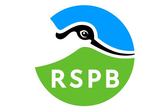 Schools: RSPB Wild Challenge