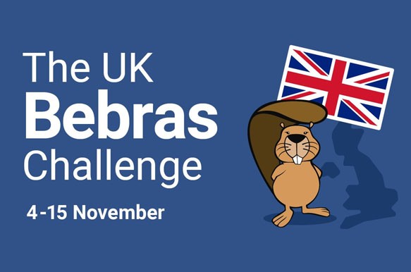 Take the Bebras Challenge (Ages 6-19)